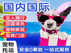 福州长乐空运国际宠物托运 【国